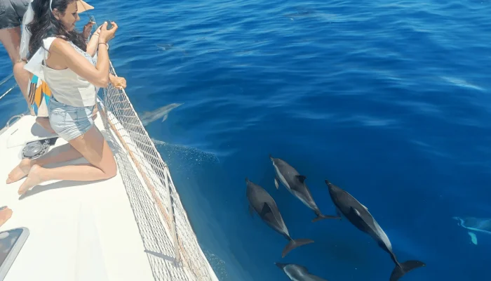 avistamiento de delfines en marbella